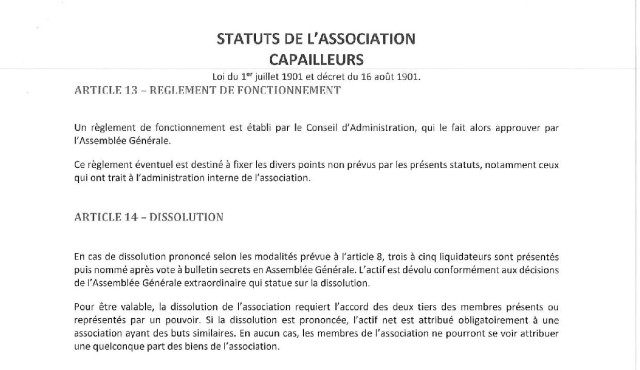 CAPAilleurs-Statuts 2019-page-005